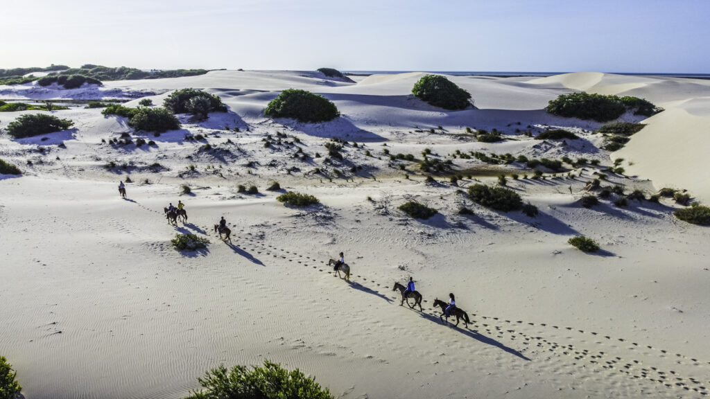 Cavalgada entre dunas e mar na Rota das Emoções